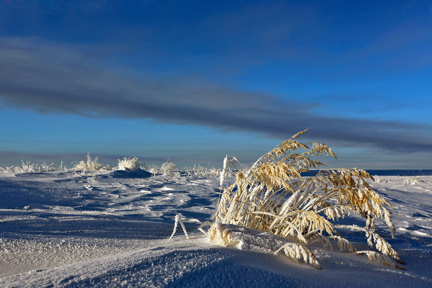 В тундре много снега. Ямал Заполярье. Тундра зима Ненецкий автономный округ. Ямал Чукотка.