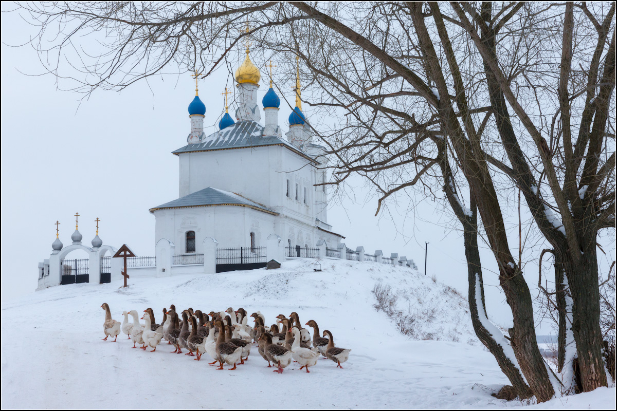 Январь места. Епифань Церковь Успения Пресвятой Богородицы. Успенский храм Епифань зима. Церковь Успения Пресвятой Богородицы на Федосеевом Городище. Тульская область Епифань зима.