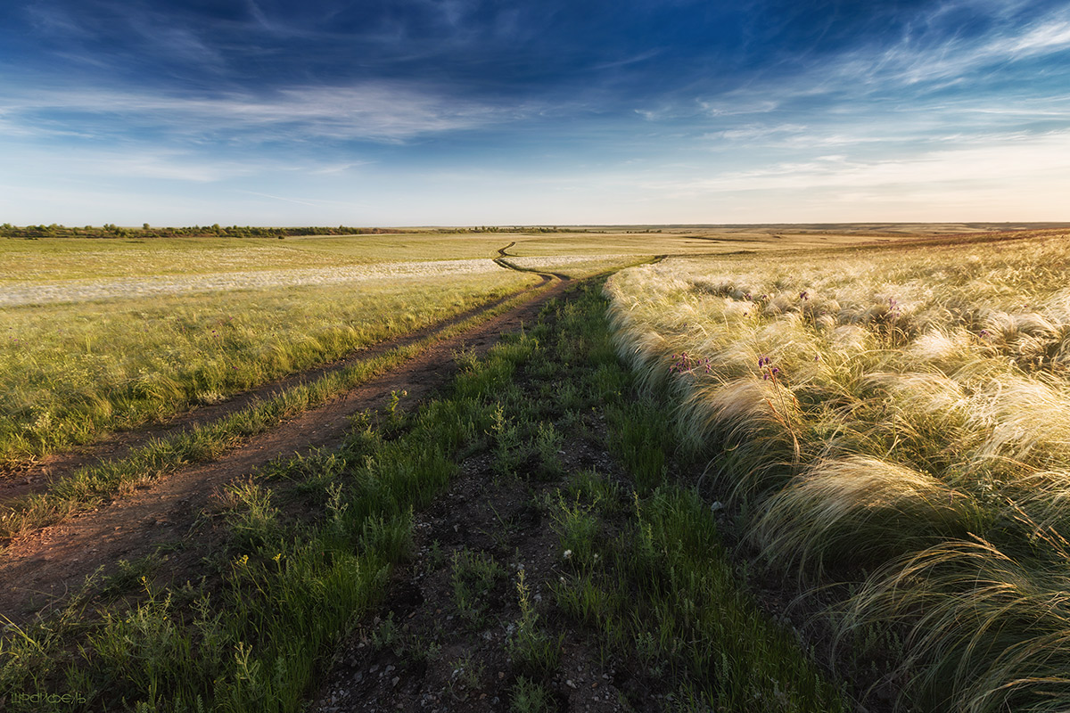 Фотографии степи. Бэрэганская степь. Ковыльная степь Воронежской области. Ковыльные степи Волгоградская область. Степь Крутцы.