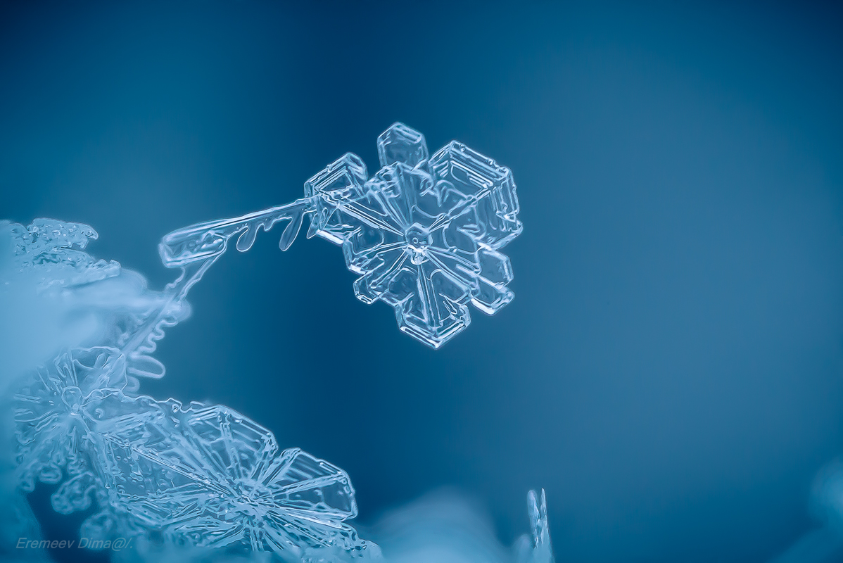 кристаллы снежинок. льдинки кружева. льдинка снежинка. льдинка снежинка. льдинка снежинка.