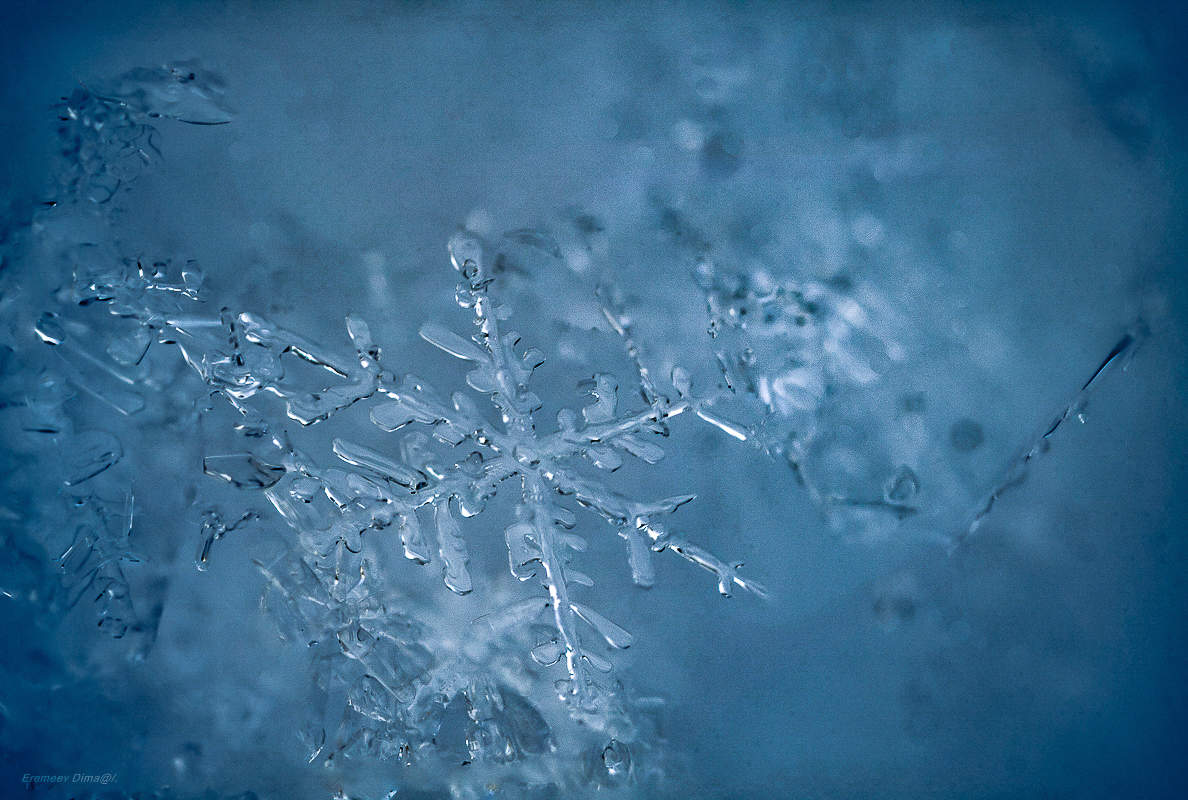 снежинка и льдинка. льдинка снежинка. снежинки в природе. ледяная снежинка. кристаллы льда.