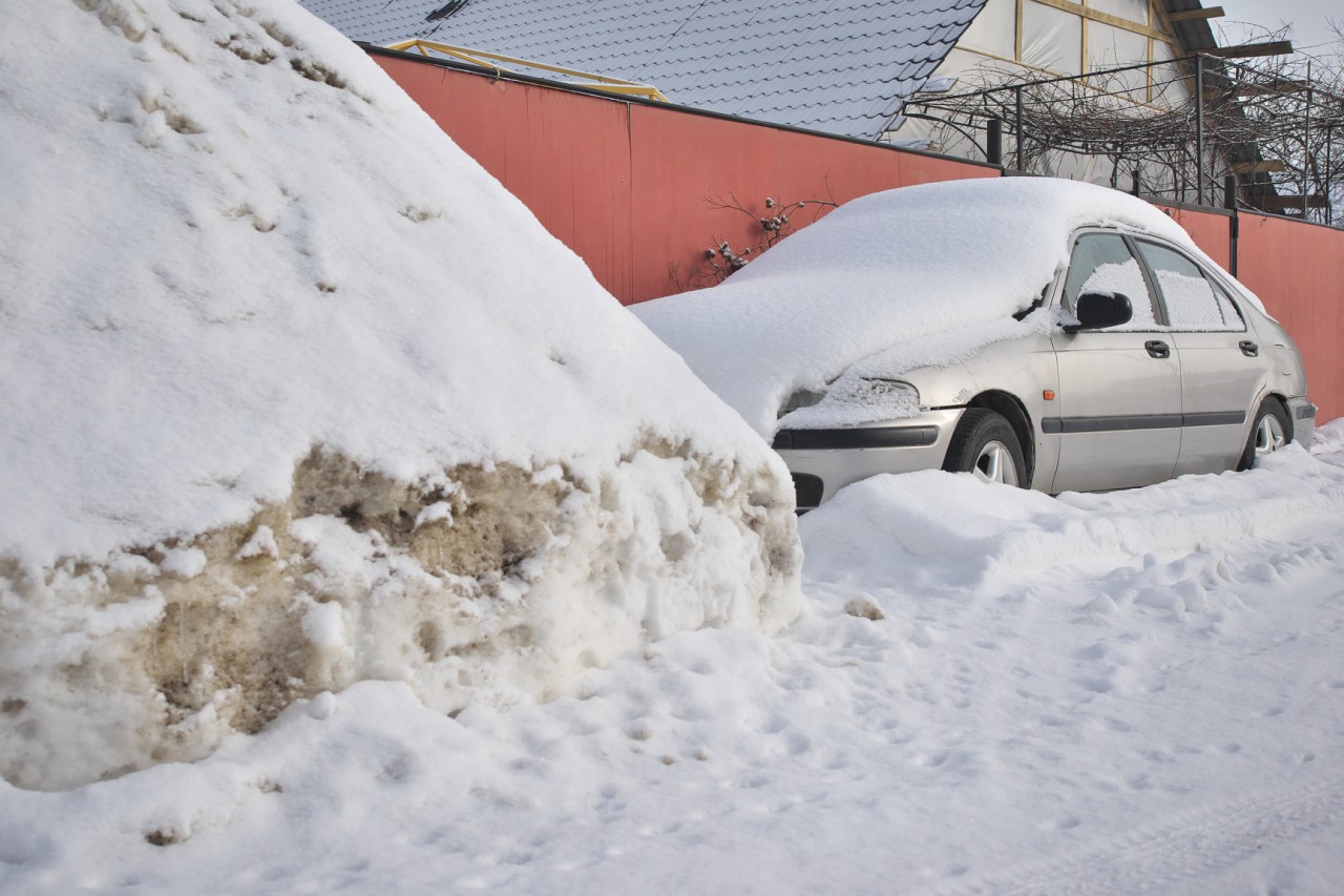 Сугробы автор