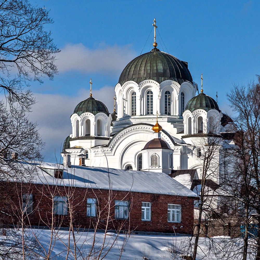 Спасо ефросиниевский монастырь