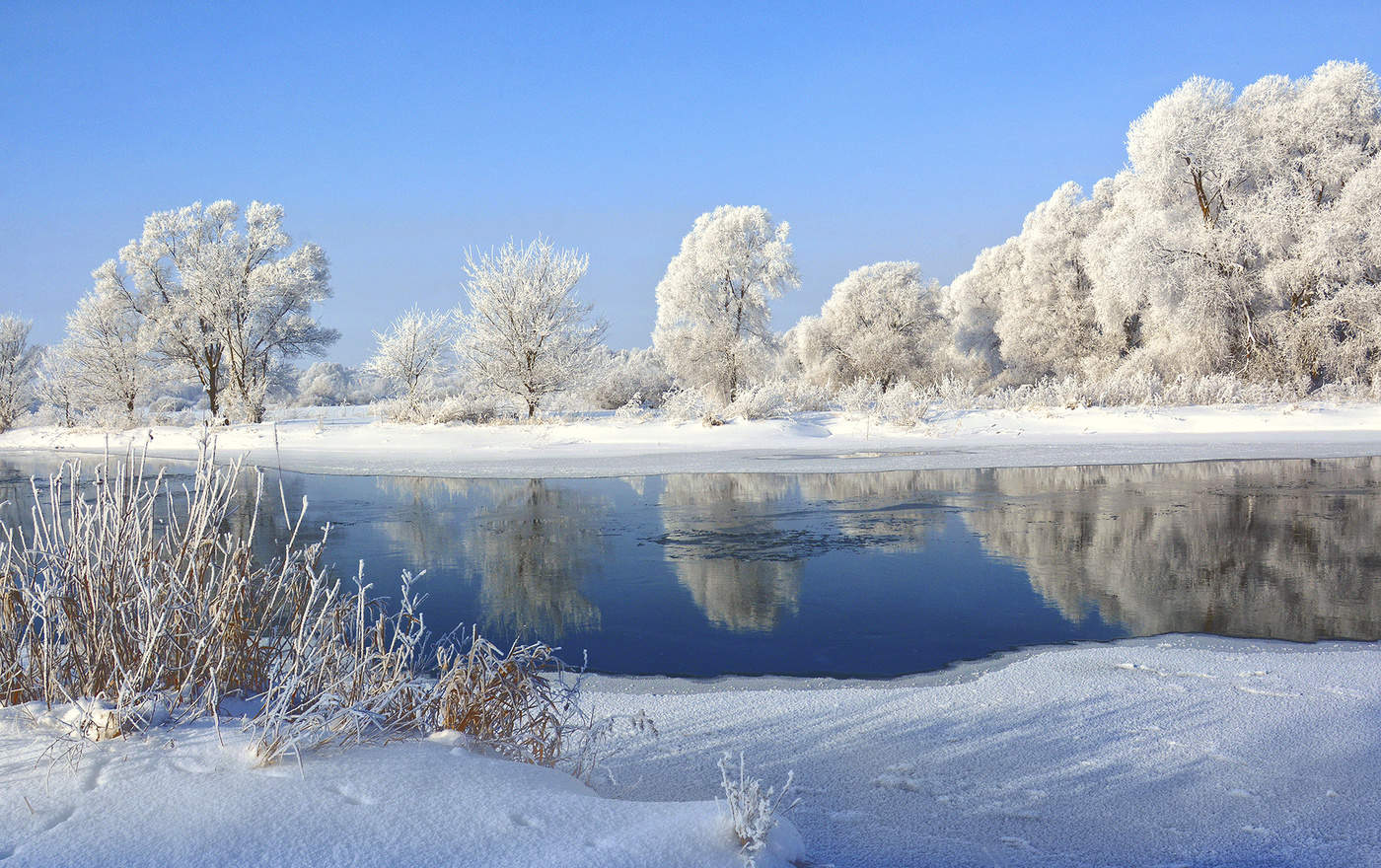 Небесами великолепными коврами. Красота зимы. Морозный день. Морозный зимний день. Красота природы зимой.