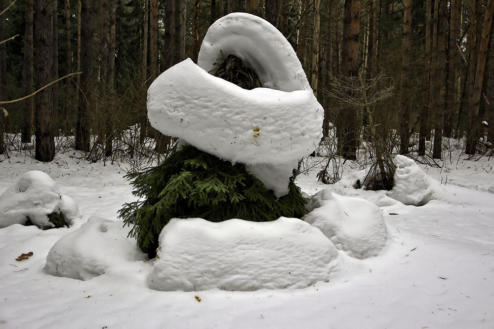 Сама природа поставила ее здесь для украшения. Зимние скульптуры. Скульптуры из снега. Снежные причуды. Снежные фигурки из снега в лесу.