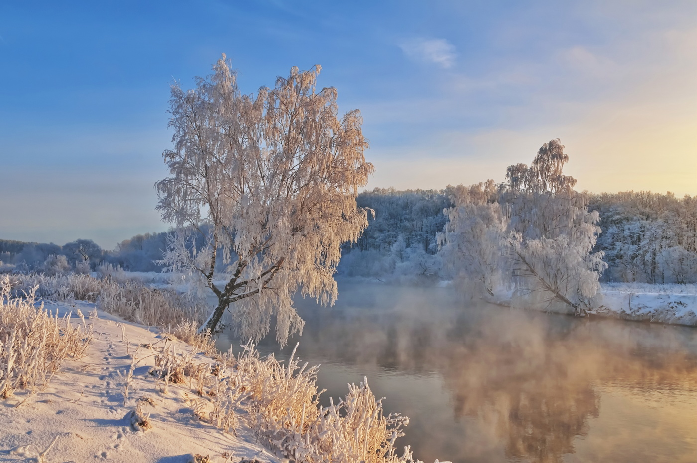 Декабрь в беларуси. Зима в Беларуси. Белоруссия природа зима. Природа Белоруссии зимой. Белорусское Полесье зимой.