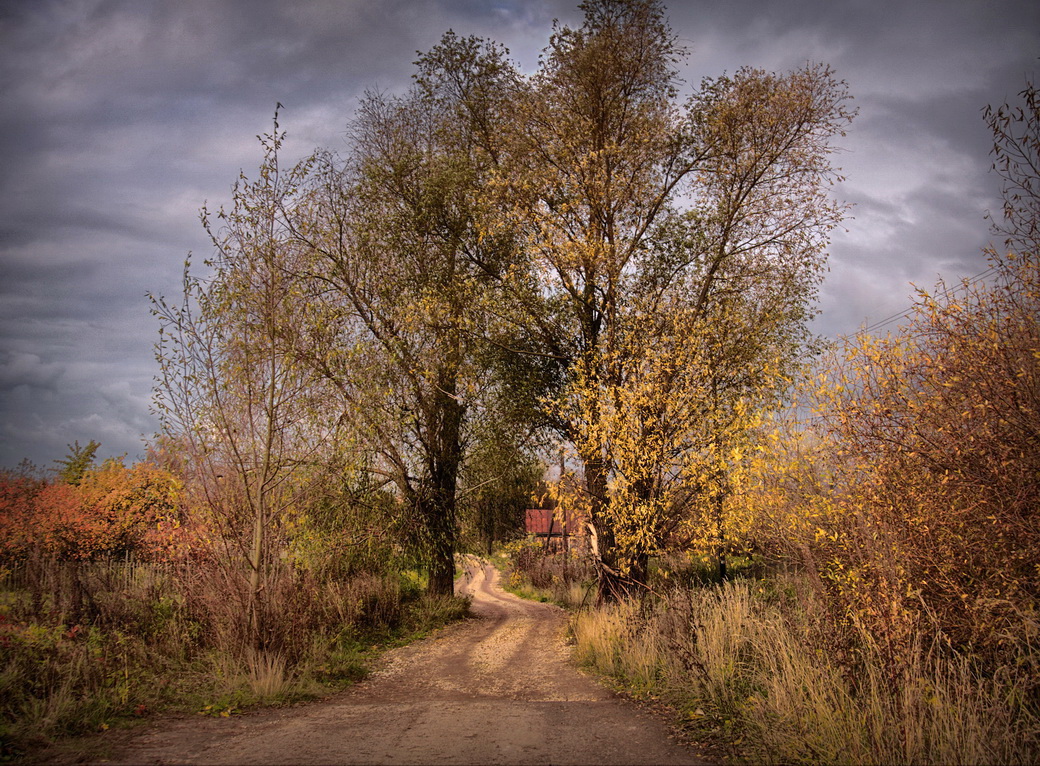 Фото осень без. Пасмурная осень. Осенний пейзаж пасмурный. Пасмурная осень пейзаж. Осени ранняя пасмурная.