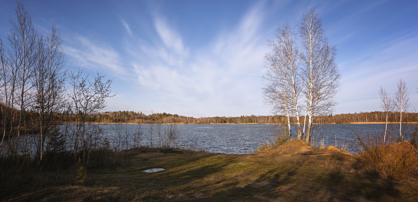 весенний порыв. весенний порыв. сакура живопись. ветер весной. утро ранней весны.