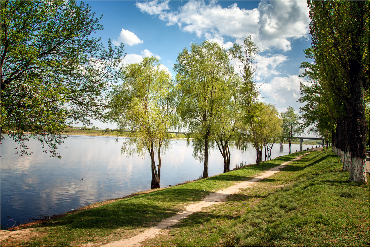 Прогноз в мозыре. Набережная Мозырь. Мозырь природа. Мозырская природа. Мозырь фото.