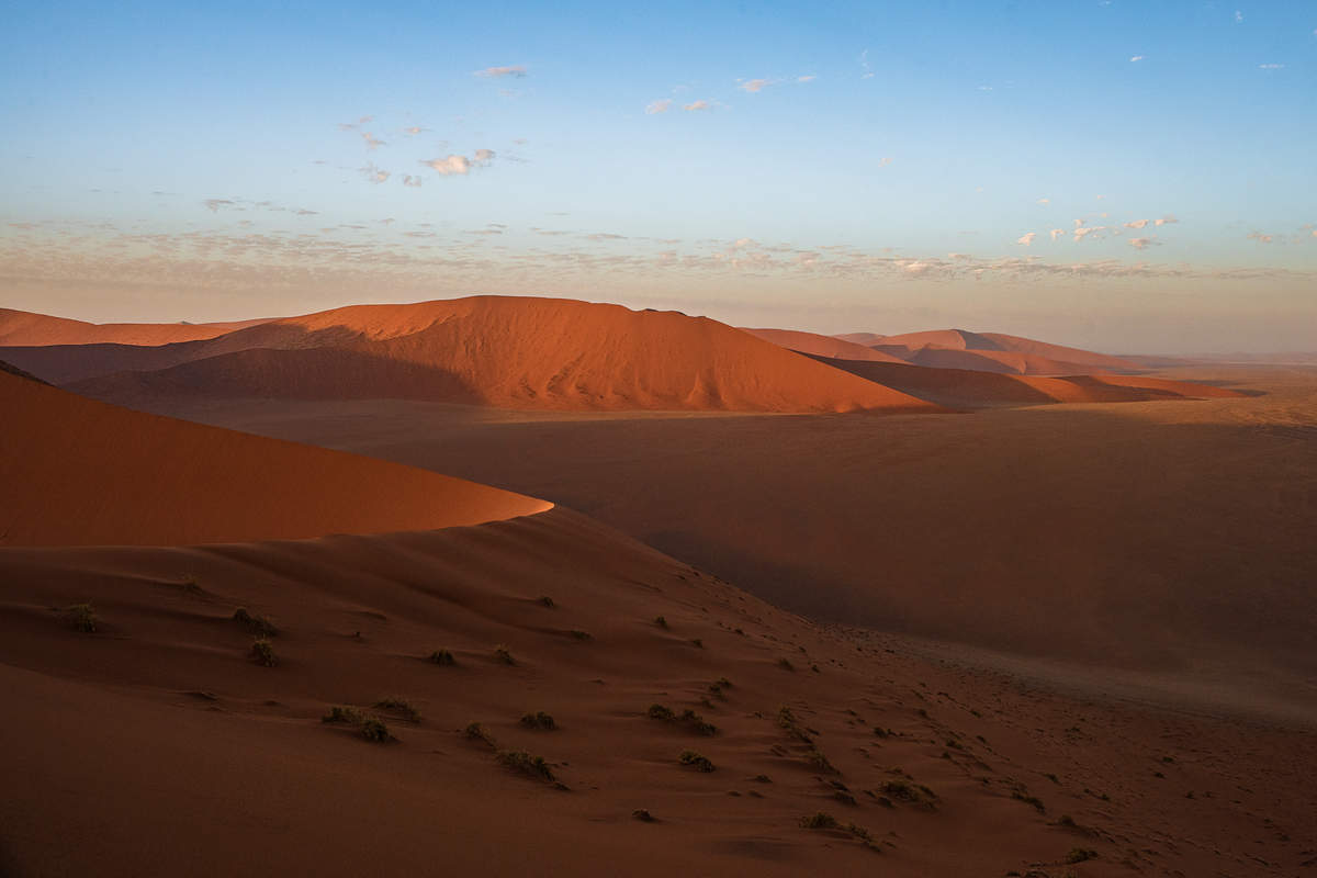 Desert light. Утро в пустыне. Пустыни утром. Пустошь Утренняя. Пустыня Намиб фото.