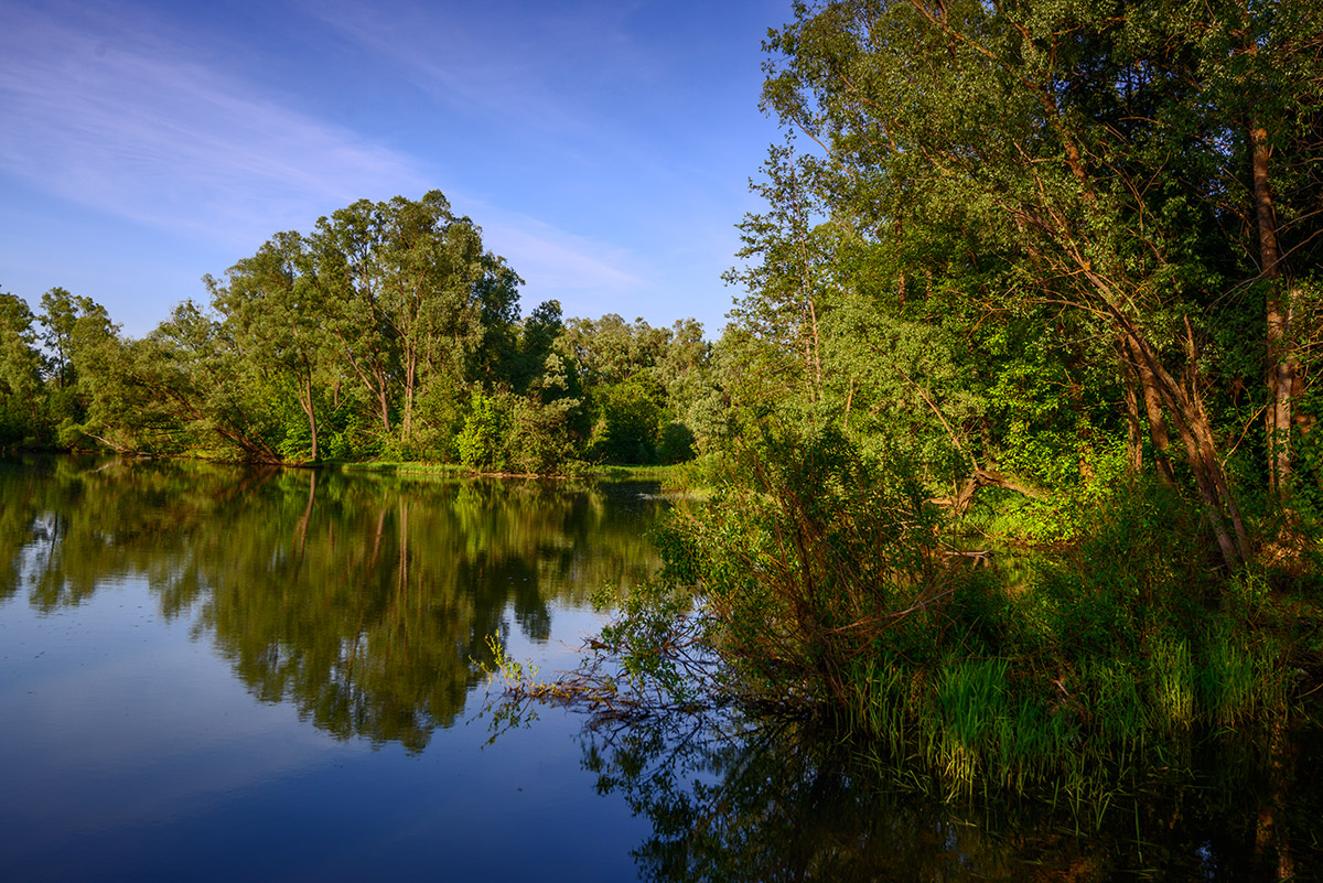 Село красная река. Красная речка Ульяновская область. Река красная река Ульяновская область. Красная речка ( «красная река»). Красная река Ульяновск.