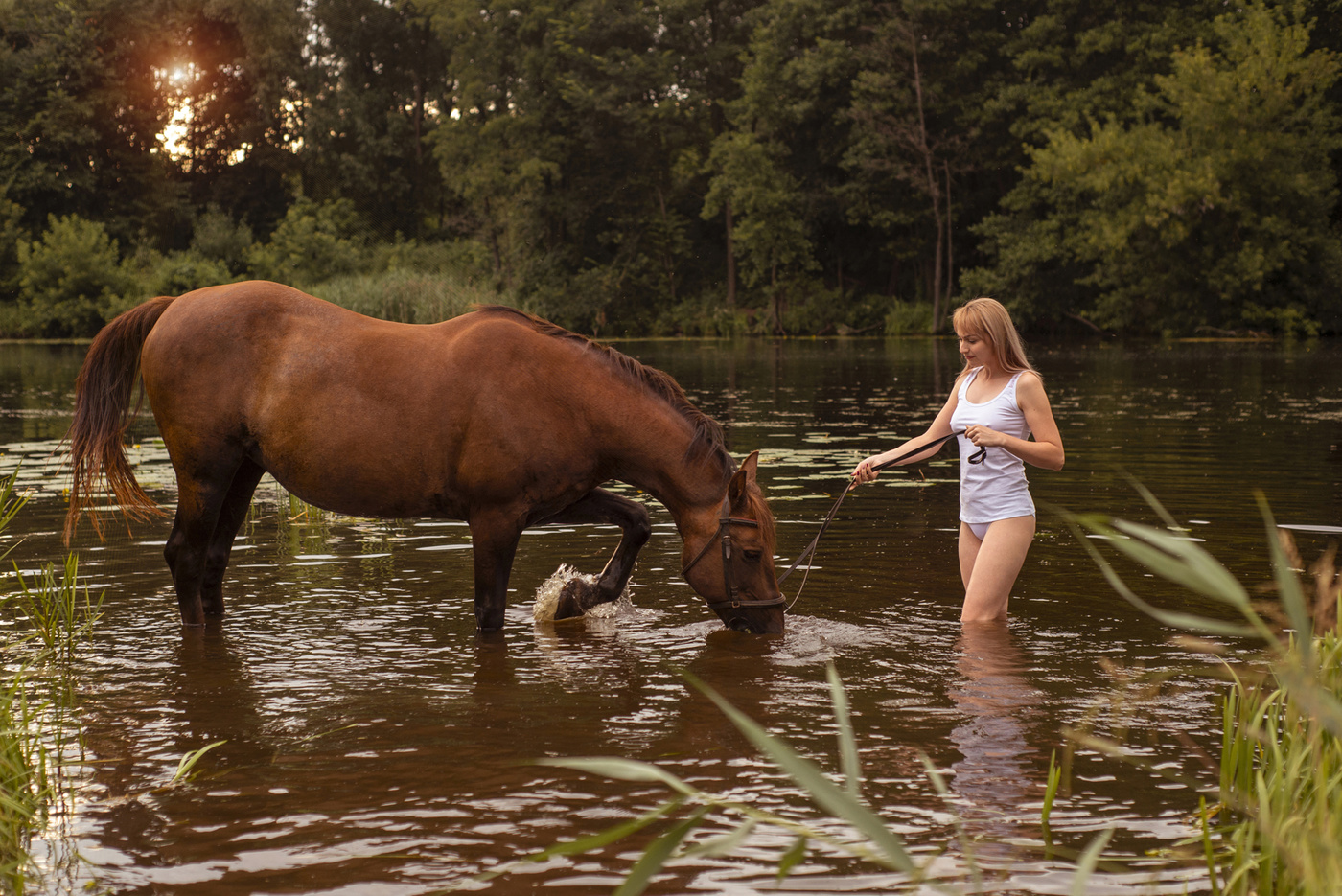 Мужчина привел лошадь. Лошадь на речке. Лошадь у реки. Кони у реки. Лошади на водопое.