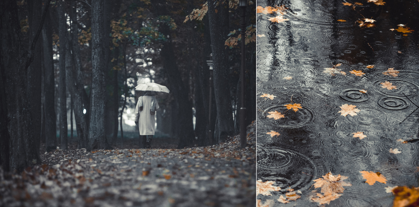 Холодная осень серый. Эстетика дождя в лесу осенью. Осень дождь серость. Дождливая осень Эстетика. Серая осень.
