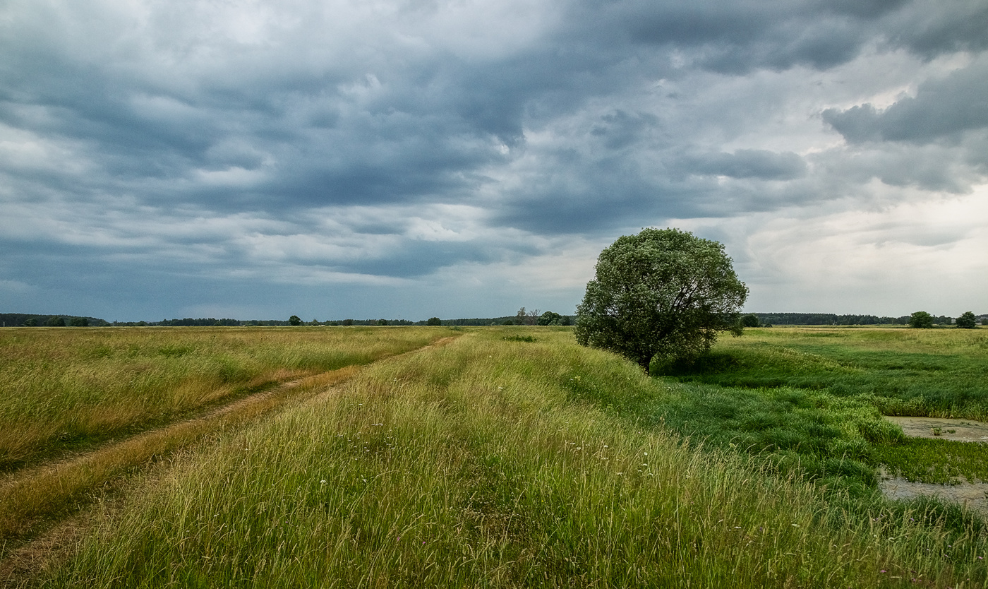 Александров Конец Фото