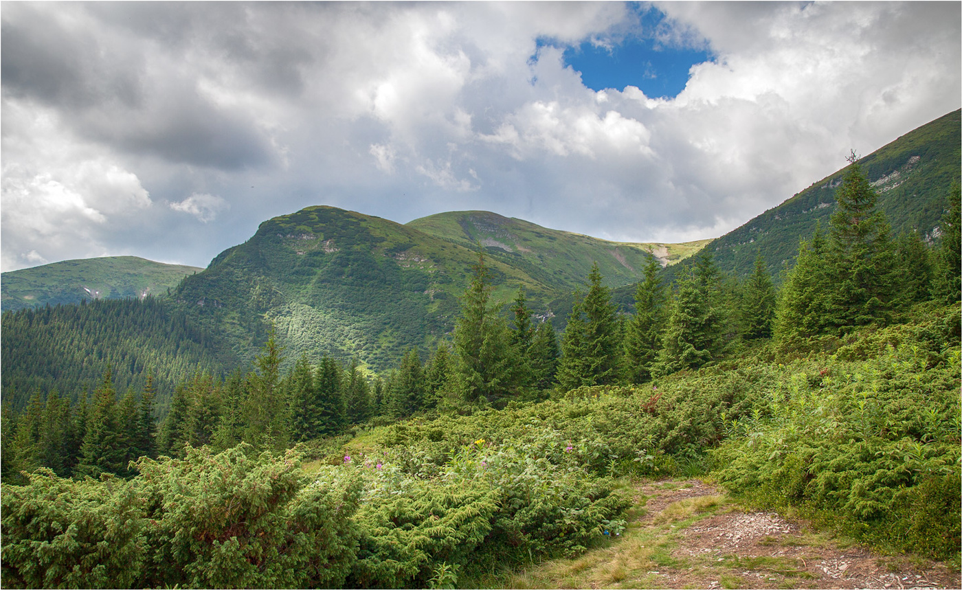 прикарпатье. сербия горы карпатские горы. словакия карпатские горы. массивы карпат. горы закарпатья.