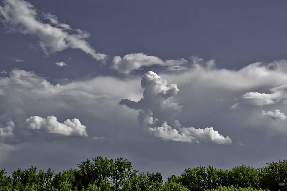 Обитатель облаков. Облака похожие на животных. Виды облаков. Смешные облака. Облака форма.