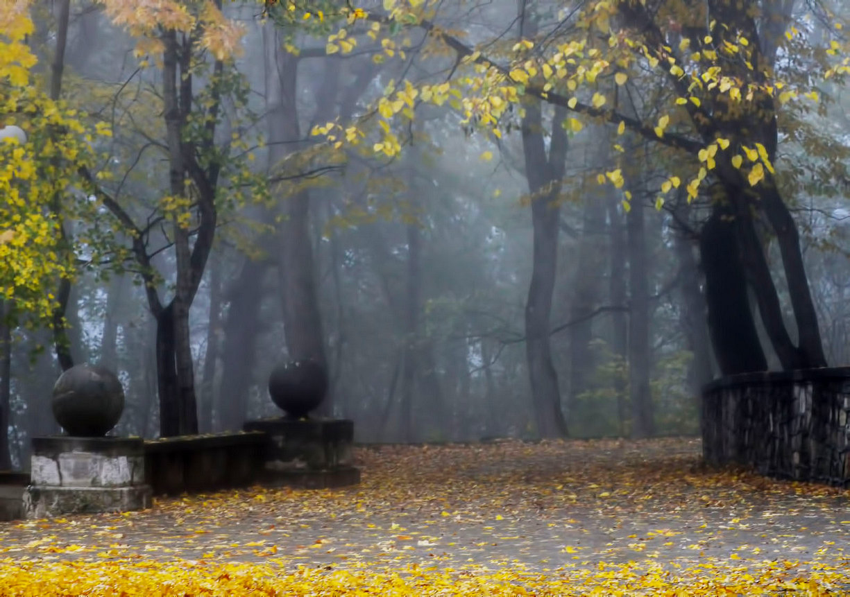 Кисловодск осень