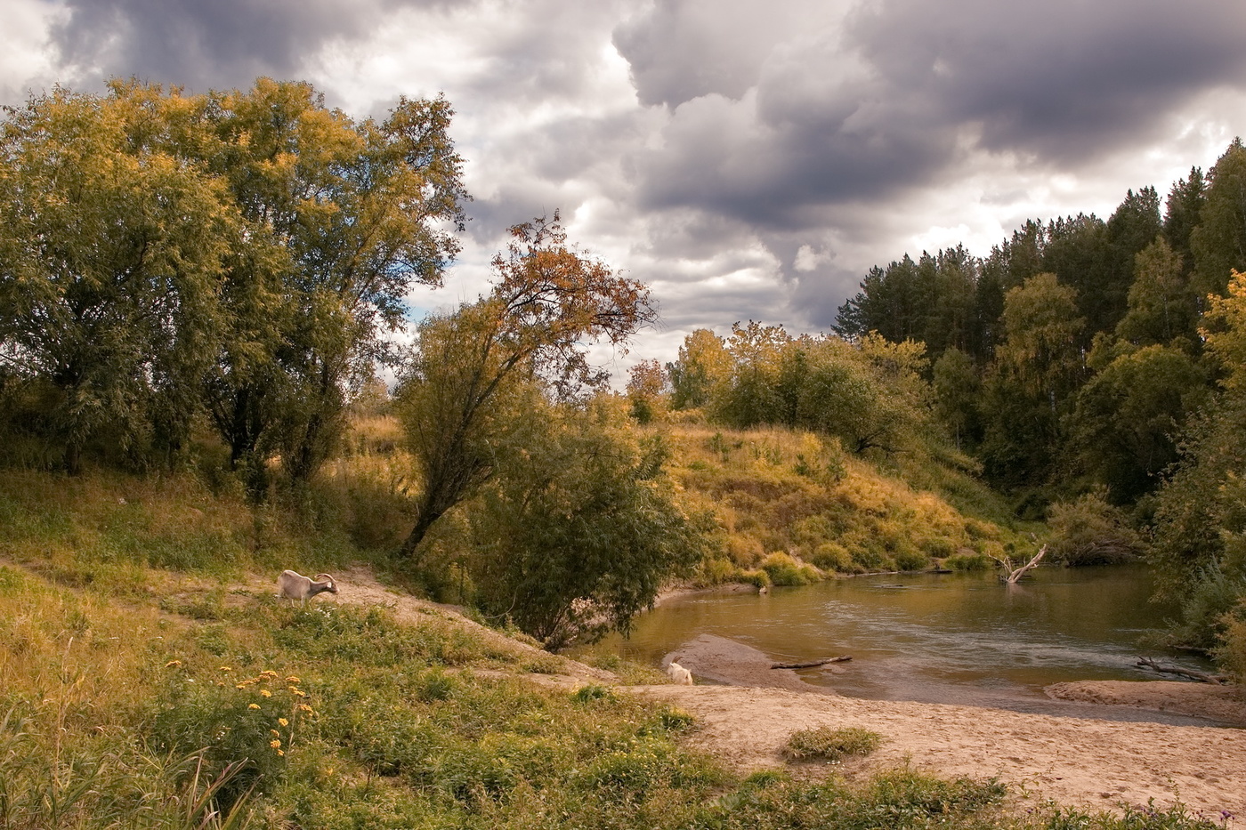 Фото томская область. Томск природа. Осень Первомайское Томская область. Пейзажи Томской области. Природа Томской области осень.