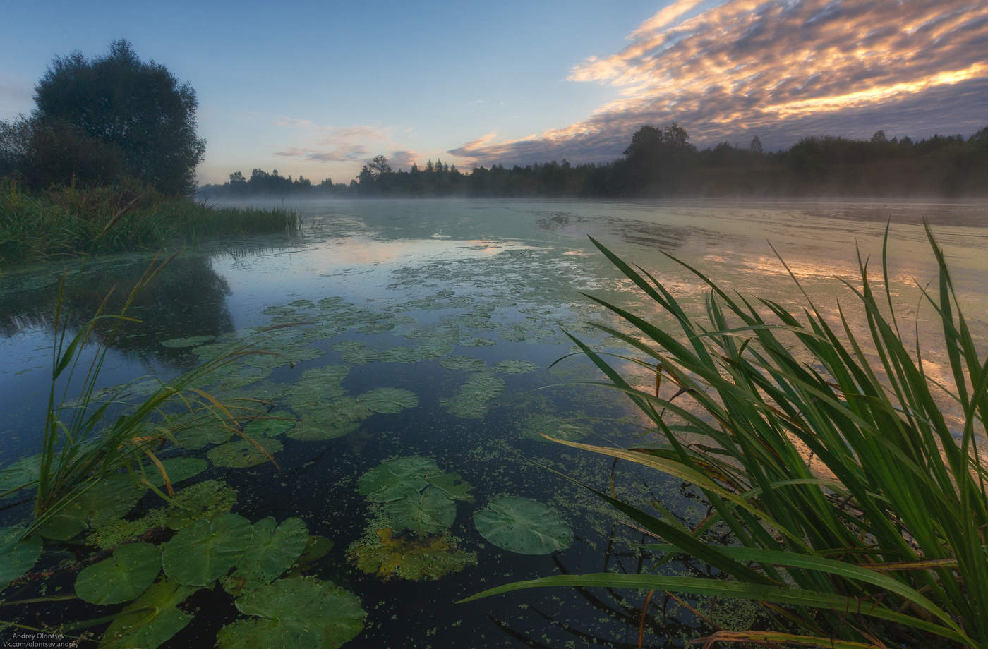 Олонцев. Пейзаж с водой России фото. Пейзажи с водой в Подмосковье. Природа Подмосковья фото. Утро в Московской области.