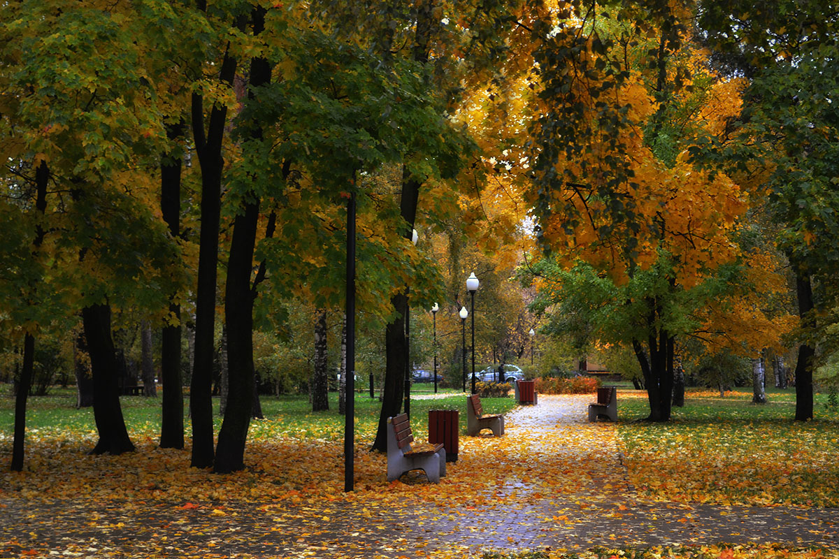 Каспийск парк осень