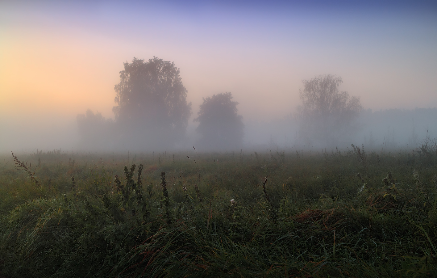 Туман над травой песня слушать. Поле в тумане. Туманное утро в поле. Туман над полем. Туман в степи.