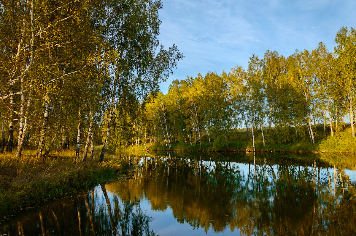 Красив русский лес в ранние осенние дни