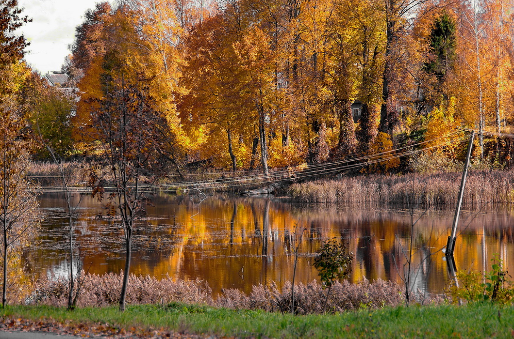 Осень небольшой. Осень на Сейме. Осень в маленьком Городке. Ельня осенью. Запах осени природа.