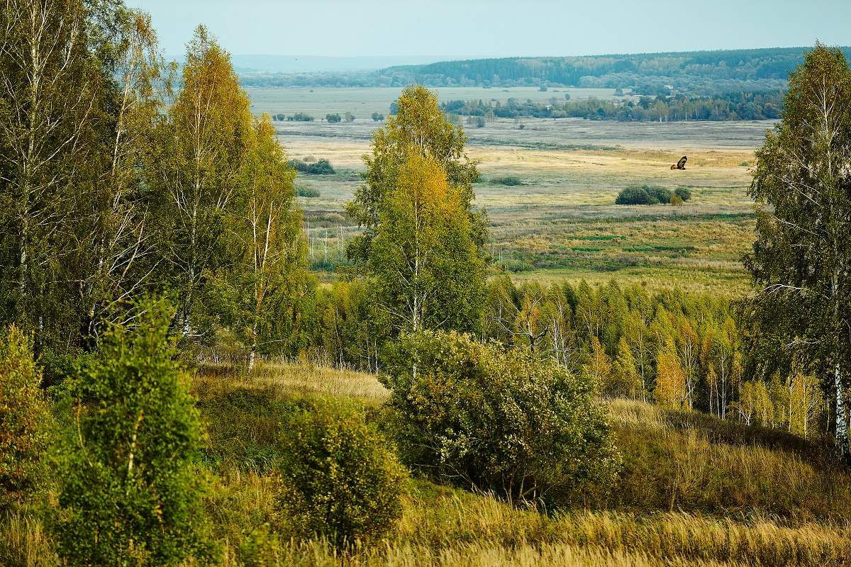 Осенние Просторы Фото