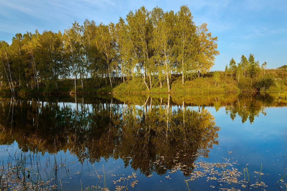 Красота бесценна