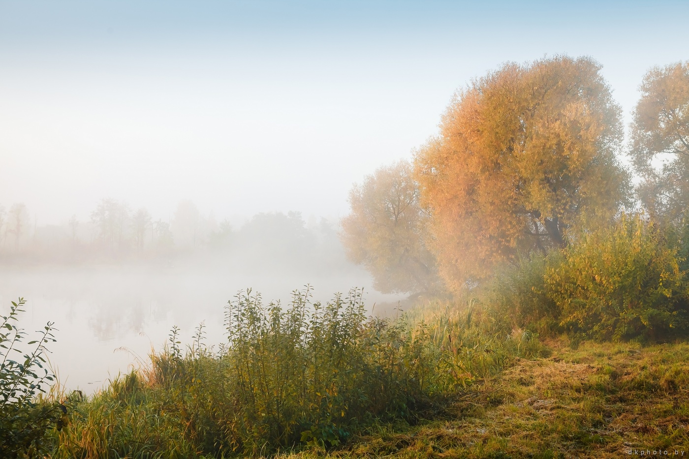 Осенний Туман Фотографии