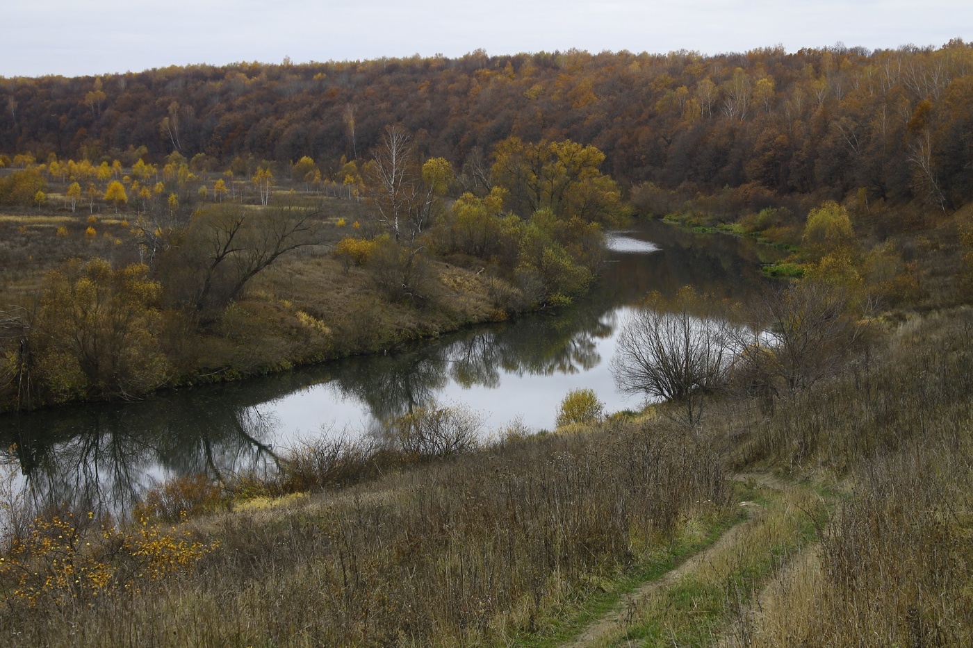 Река осетр. Река осетр Зарайск. Река осётр Московская область Зарайск. Речка осетр Московская область. Осетр река Подмосковье.