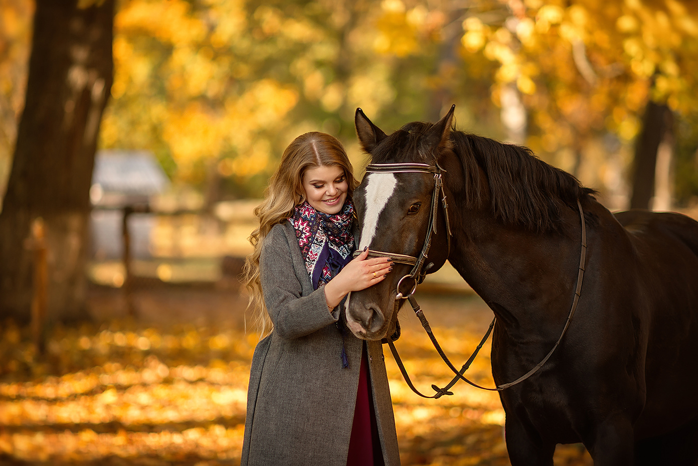 Осенняя фотосессия с лошадью