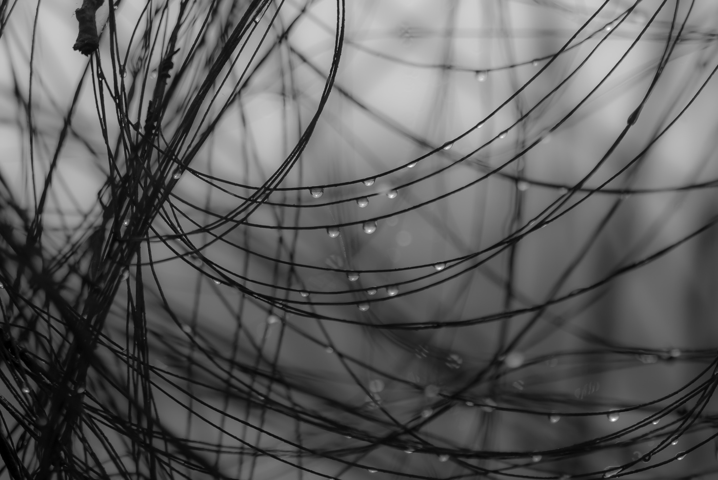 квантовая запутанность. формула квантовой запутанности. запутанные электроны. запутанные фотоны квантовая запутанность. квант (физика).