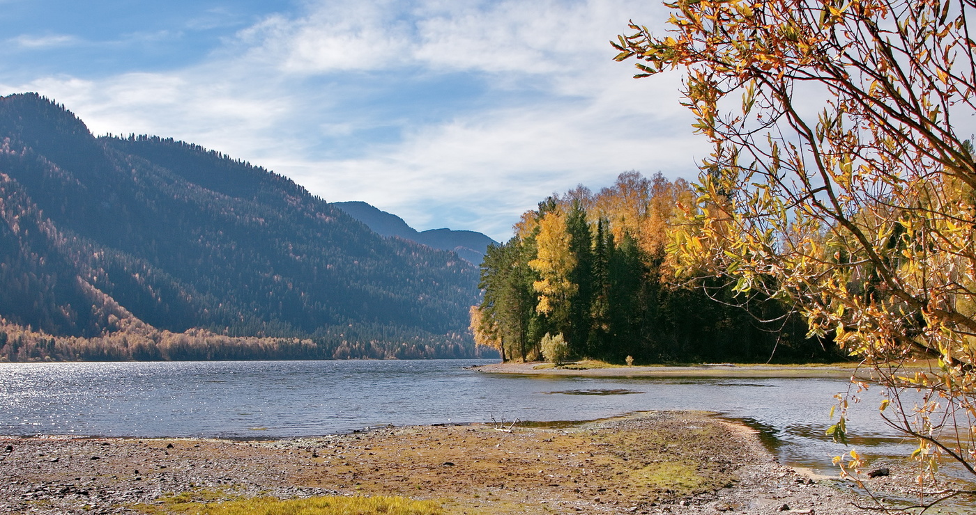 Телецкое озеро алтай осенью. Горный алтай телецкое. Озеро телецкое осенью алтайский край. Озеро телецкое осенью алтайский край. Телецкое в октябре.
