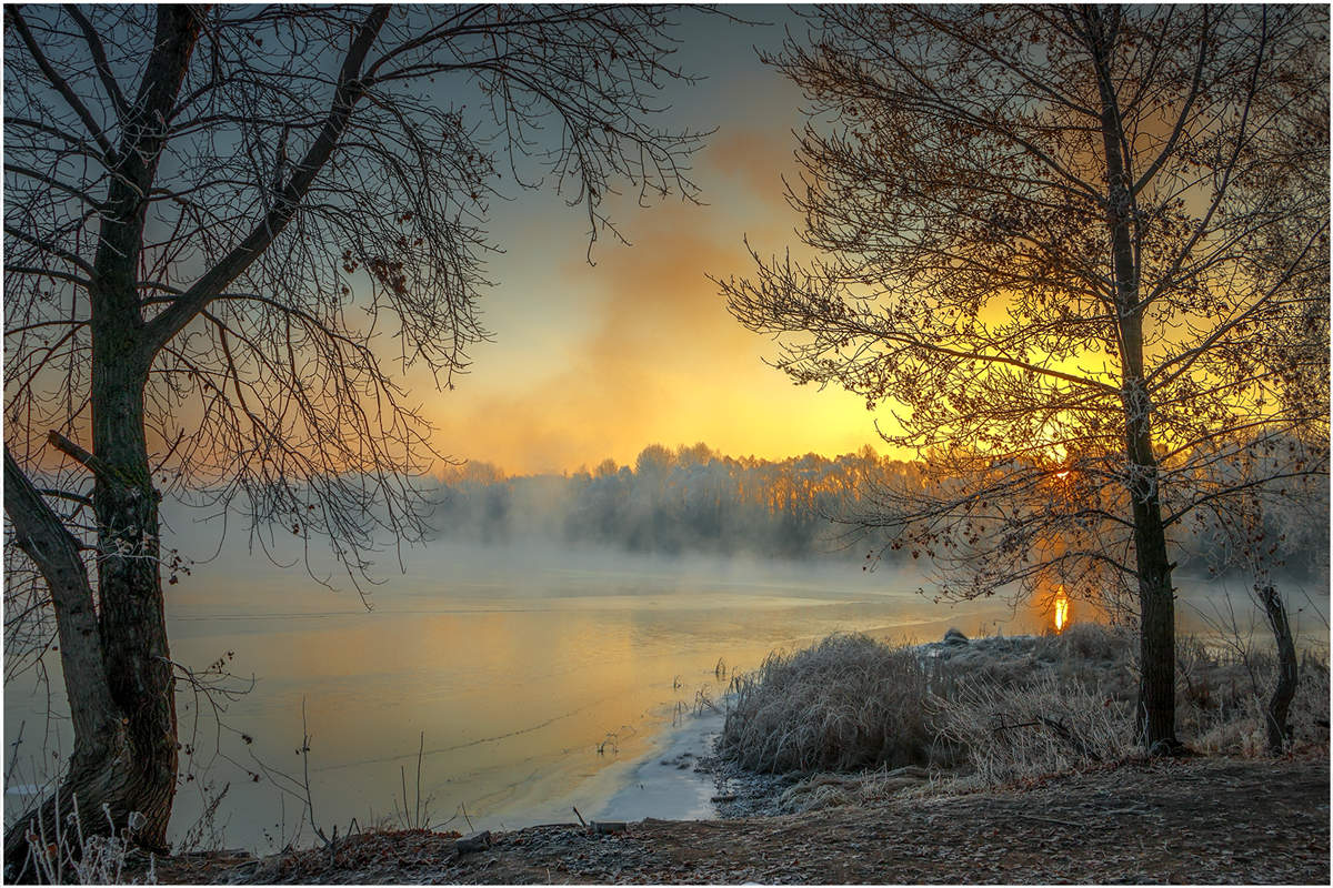 утро туманное утро седое нивы