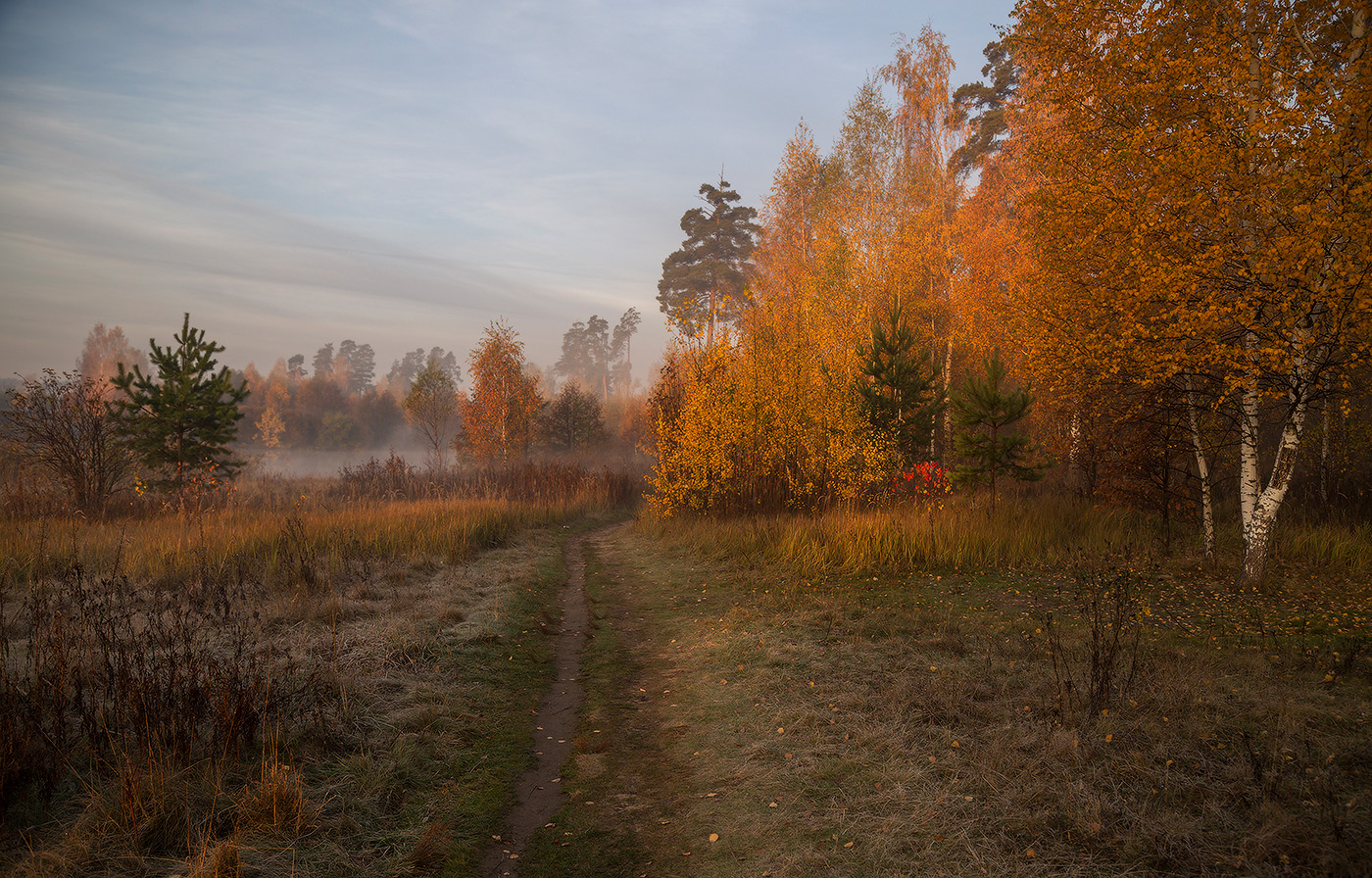 Утро поздняя осень деревня