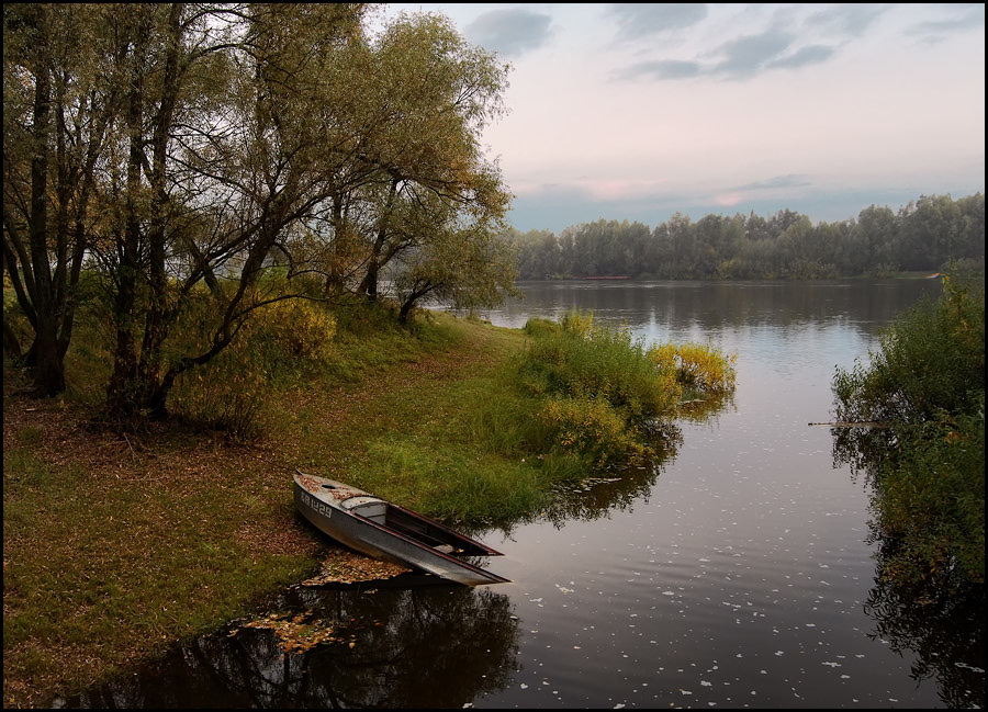 Река припять. Река Припять в Белоруссии. Река Припять Наровля. Припять озеро. Природа Беларуси Припять река.