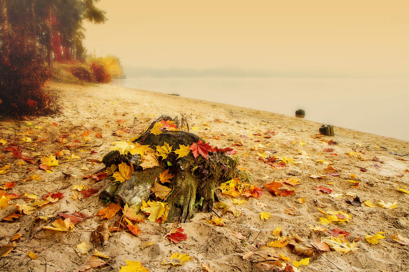 Фон осень. Стих про осень на английском языке. Оранжевая осень. B67 fall. Autumn comes autumn leaves.