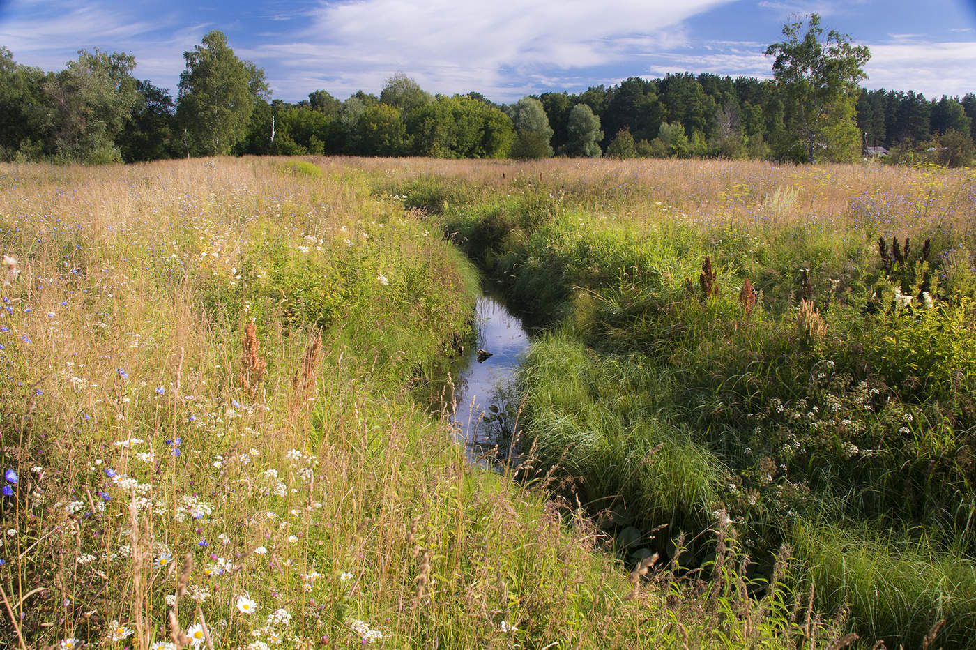Река луга новгородская область. Река луга кингисепп. Исток реки гайва. Кингисепп река луга фото. Луга на берегу реки.