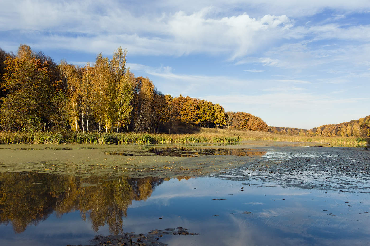 Ясная Поляна Осенью Красивые Фото