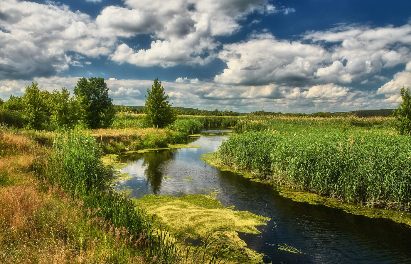 День на реке фото