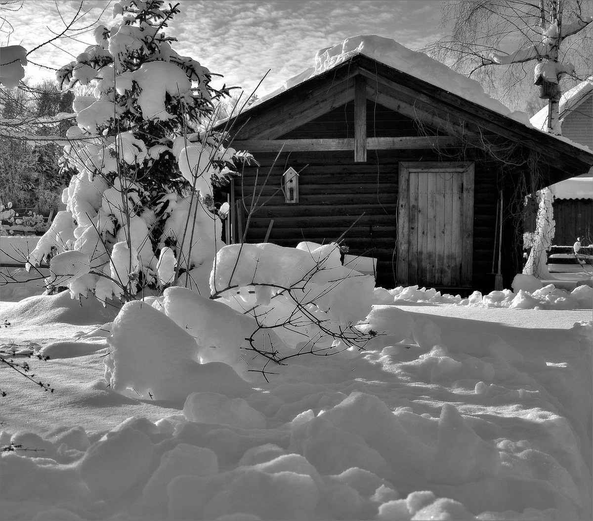 Дача зимой фото. Дача. Зима. Дача зимой. Зимняя фотосессия на даче. Зимовка на даче.