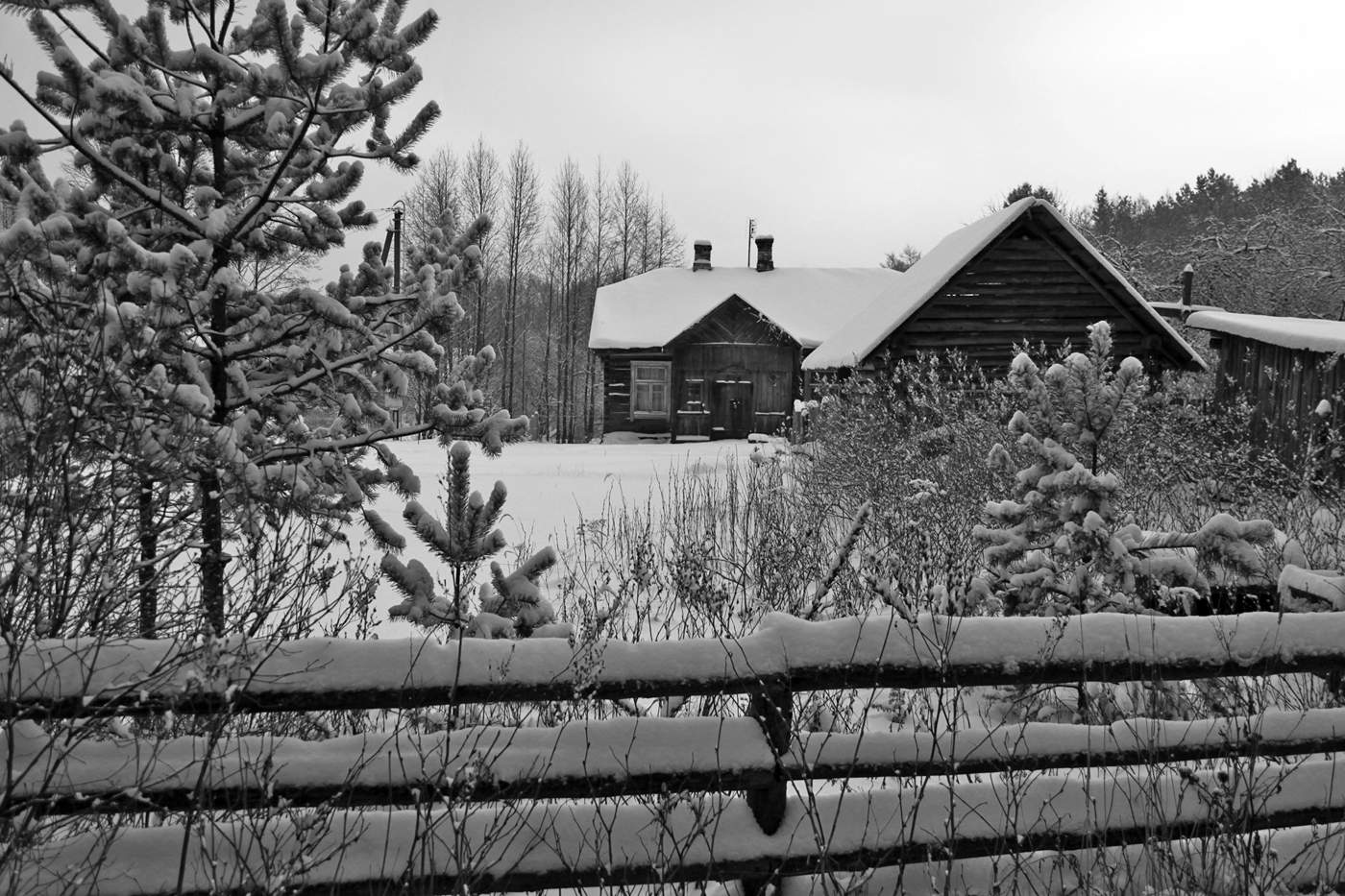 Деревня белая зима. Зимняя деревня. Зимний лес в деревне. Деревня белая. Зима деревня чб.