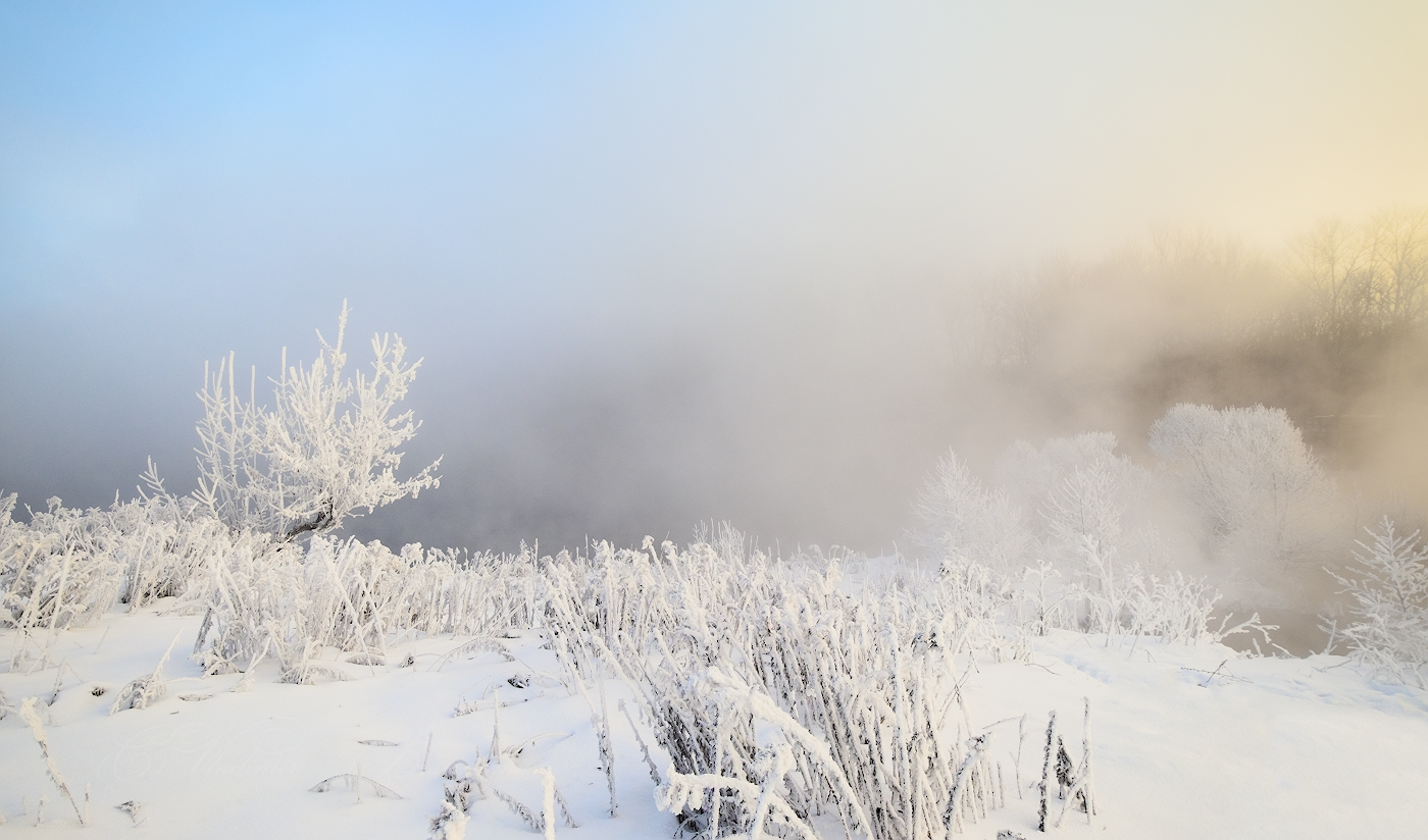 Снежок бывает. Атакама зимние туманы. Туман зима Красноярск. Туман зима Донбасс. Северной Бирме бывает снег.