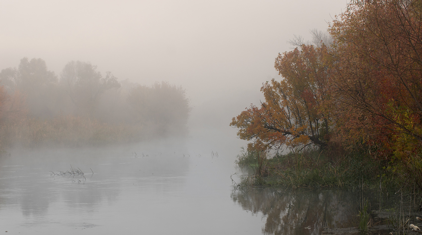 Бежит река в тумане слушать