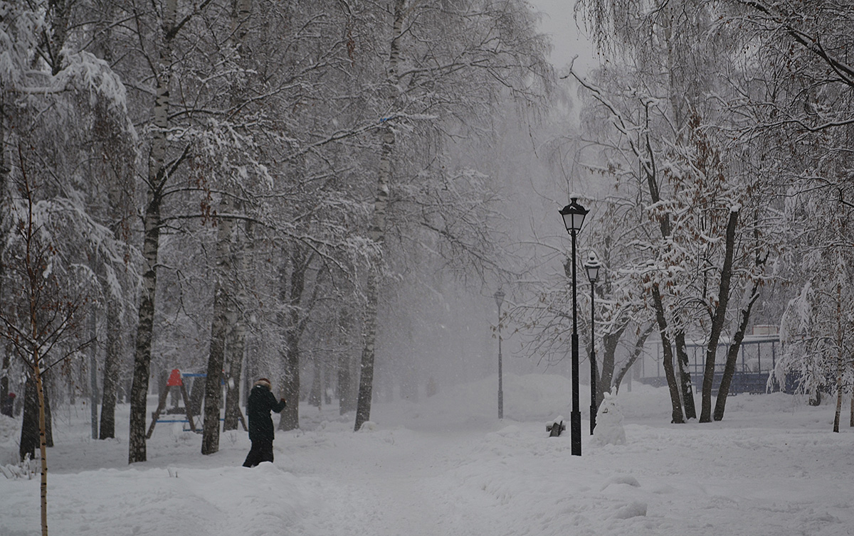 Февраля 2019 г