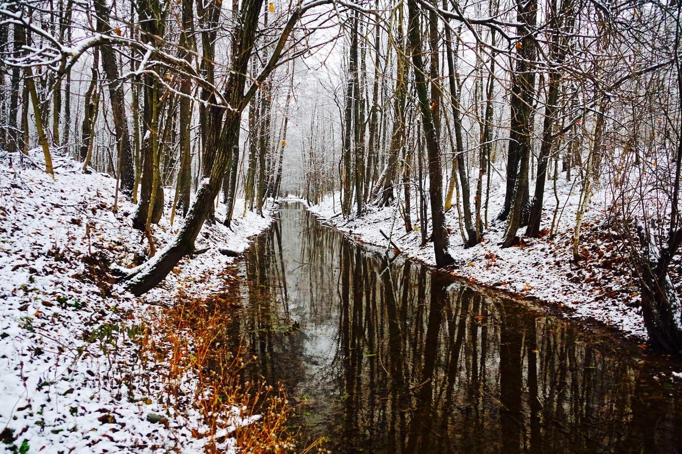 Отраженный снегами. Невидимые пейзажи. Поздняя осень отражения деревьев. Трасса поздняя осень снег. Поздняя осень с отражением на воде фото