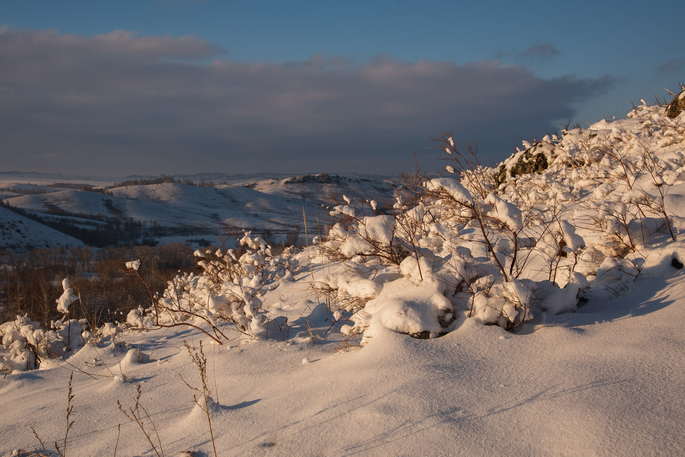 зима холодная и сухая снега на сопках. зима холодная и сухая снега на сопках. зима холодная и сухая снега на сопках. береза сопка зима. зимнее небо.