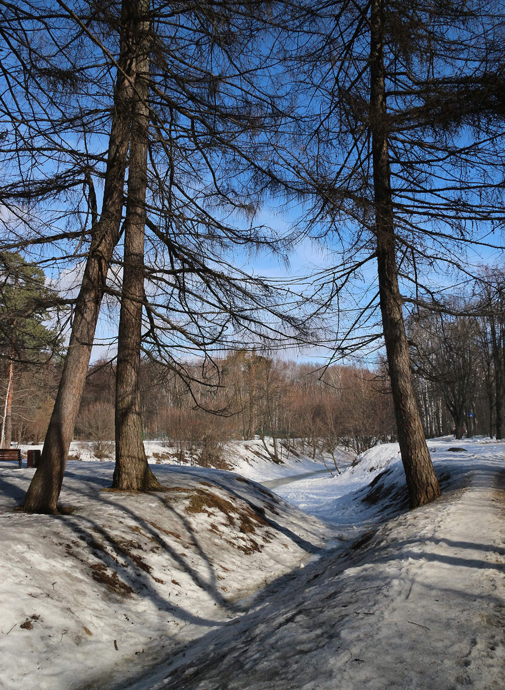 Прогулка весной фото