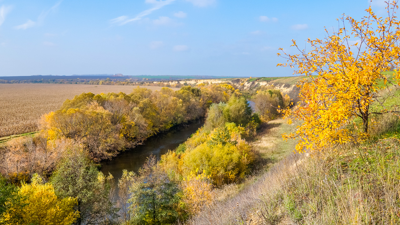 Кшень курская область. Курская область Кшень река. Река Кшень в Курской области. Кшень (река). Река Кшень Ливенский район.